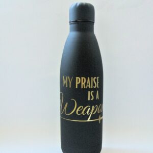 RVS Drinkfles 'My Praise is a Weapon'